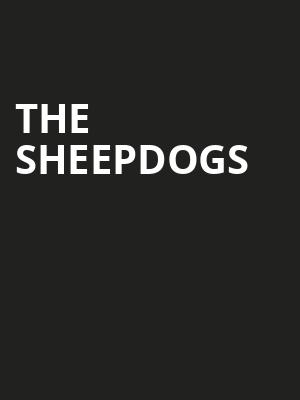 The Sheepdogs, London Music Hall, London